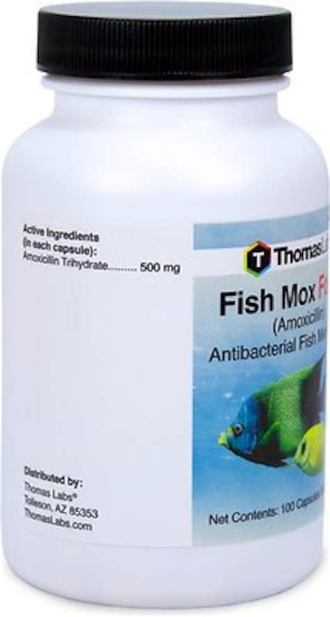 thomas labs fish mox|Fish mox forte 500mg 100 Capsules Free Shipping